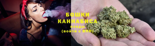 СК Бронницы
