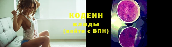 индика Пролетарск