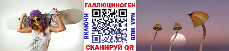 Псилоцибиновые грибы ЛСД  купить   Горячий Ключ 